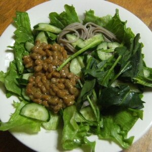 納豆と蕎麦の和風サラダ